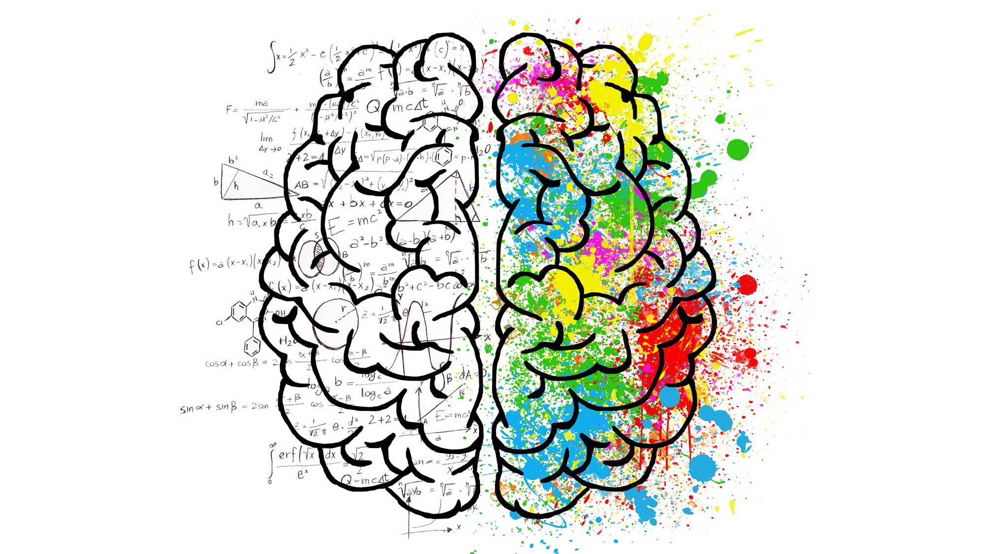 Graphic representation of a brain - analytical right and creative left