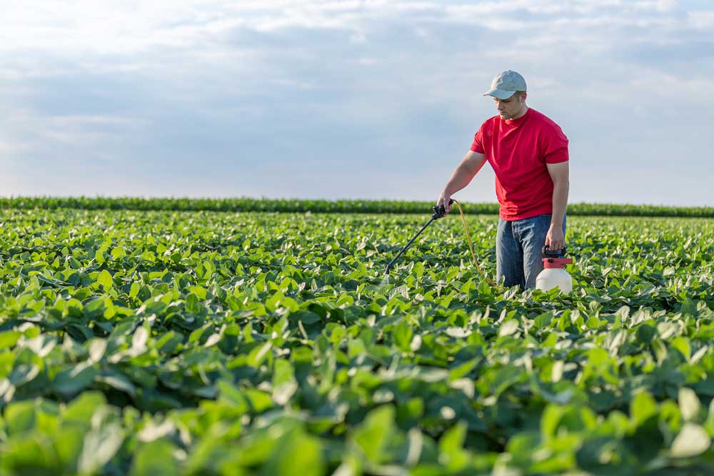 Man spraying chemicals on crops